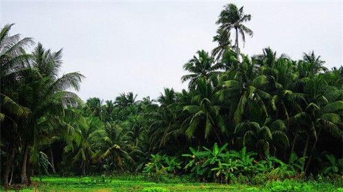 胖小鲜砂锅麻辣烫