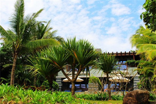 鸭迷鸭蜜泰式烤鸭饭