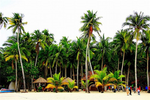 创业堂淘宝店是真的么