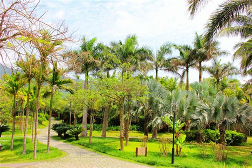 火锅店装修广告语，火锅店装修文案字体设计