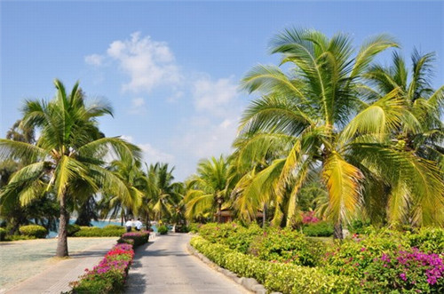 余姚踏春哪里好玩（余姚春游的好地方有哪些）