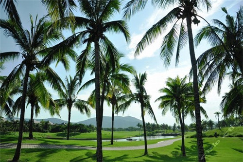 厚哥后宫爽剧大结局（厚stay）