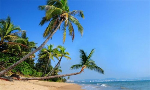 常州红星美凯龙有哪些品牌的床（常州红星美凯龙有几个场馆叫什么）