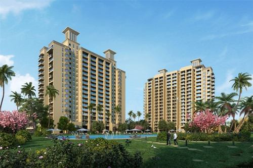 hippo是什么意思中文翻译（hippos什么意思中文）