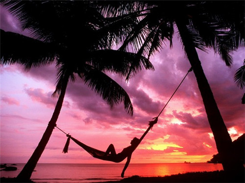 神奇宝贝十大打斗忍者（神奇宝贝十大打斗忍者图片）