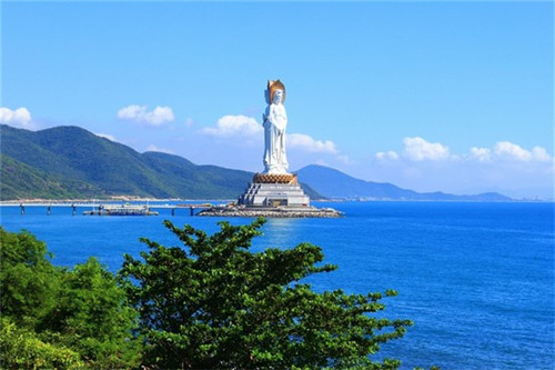 遗传科年终总结PPT（遗传室出科小结）